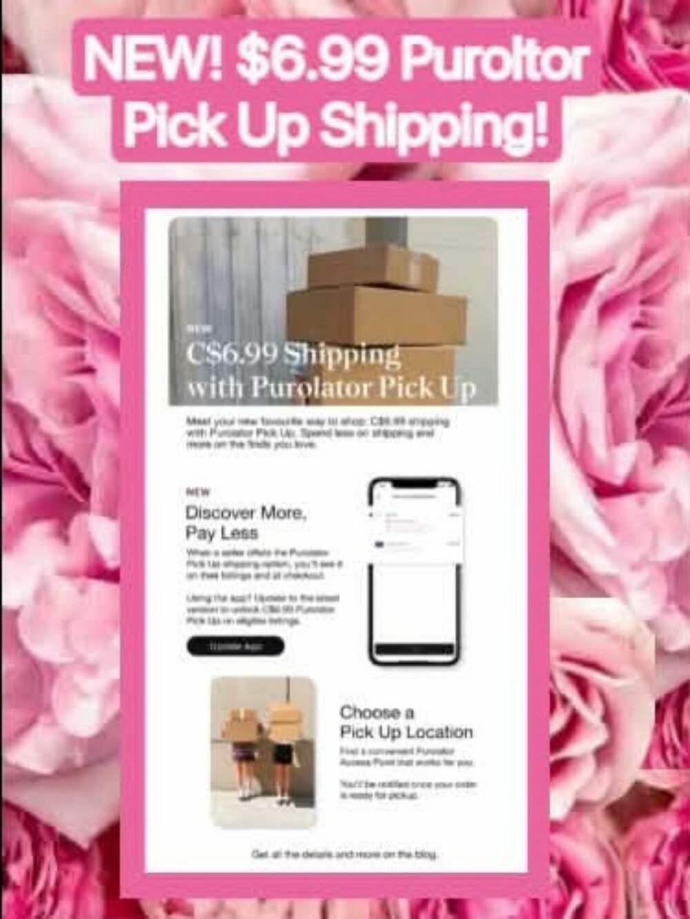 NEW! Purolator Shipping Now Just $6.99 for pickup! 🥳🎈😁🎉